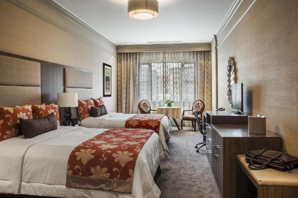 Opera House Hotel image 10