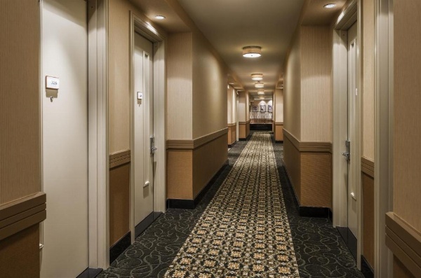 Opera House Hotel image 25